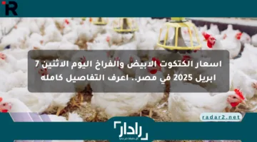 أسعار الكتكوت الأبيض والفراخ اليوم الإثنين 7 أبريل 2025 في مصر.. اعرف التفاصيل كاملة